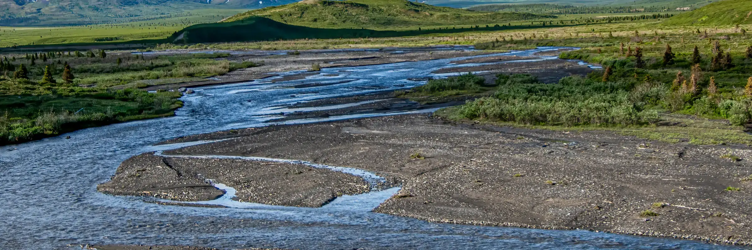 A braided river running through the Mat-Su Valley, Alaska